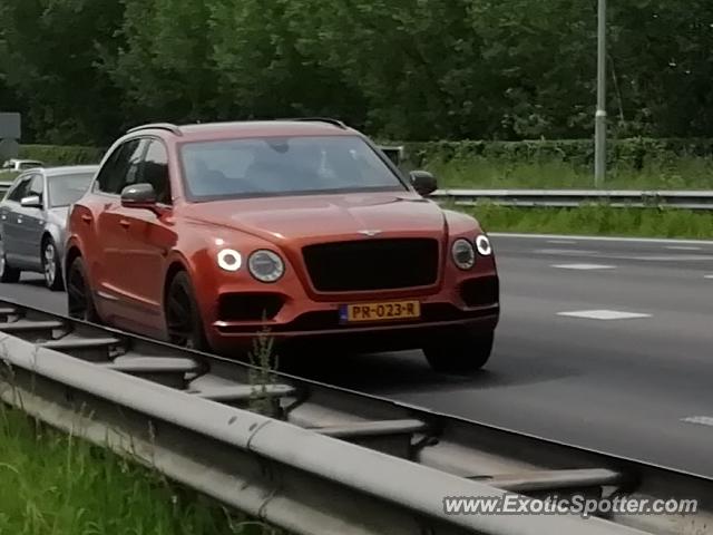 Bentley Bentayga spotted in Papendrecht, Netherlands