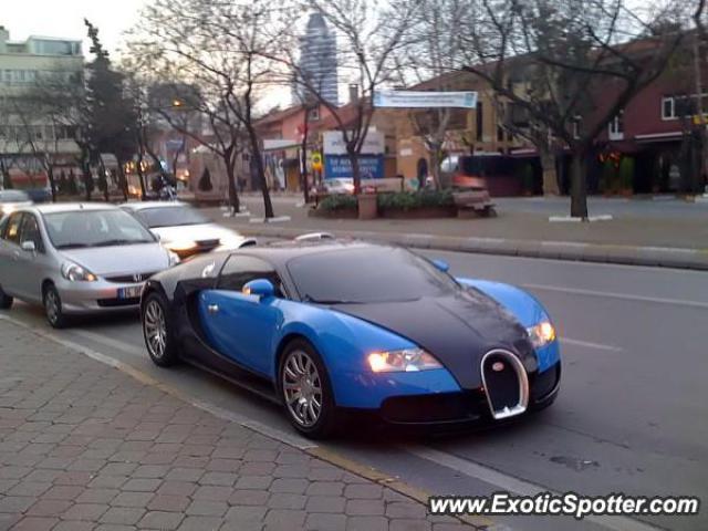 bugatti_veyron-bt000187_751941.jpg