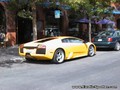 Lamborghini Murcielago