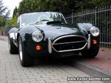 Shelby Cobra