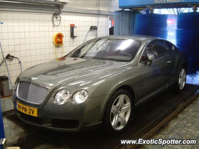 Bentley Continental spotted in Holten, Netherlands