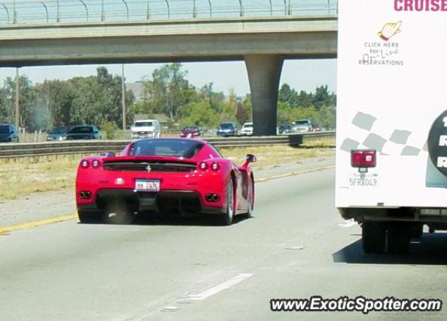 Ferrari Enzo spotted in Petaluma, California