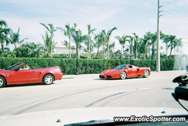Ferrari Enzo spotted in Naples, Florida
