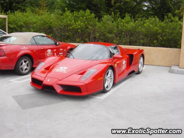 Ferrari Enzo spotted in Pebble Beach, California