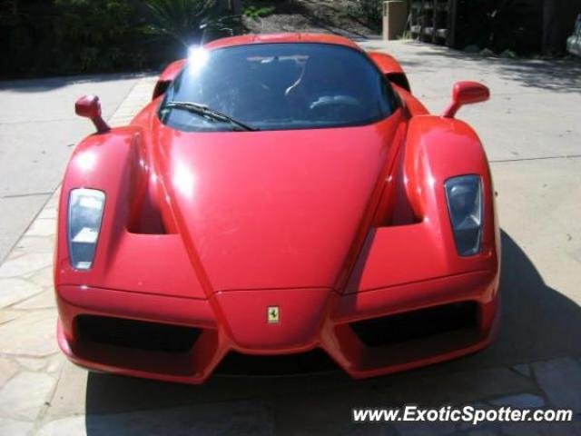 Ferrari Enzo spotted in Franklin, Tennessee