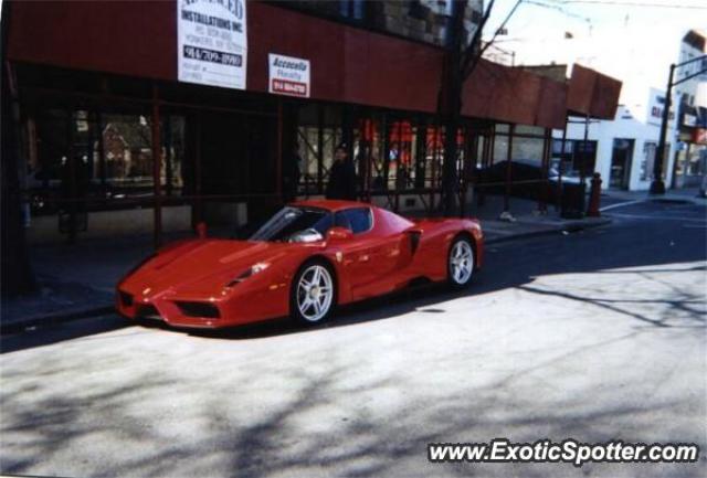 Ferrari Enzo spotted in Mount Vernon, New York