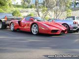 Ferrari Enzo