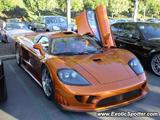 Saleen S7