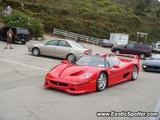 Ferrari F50