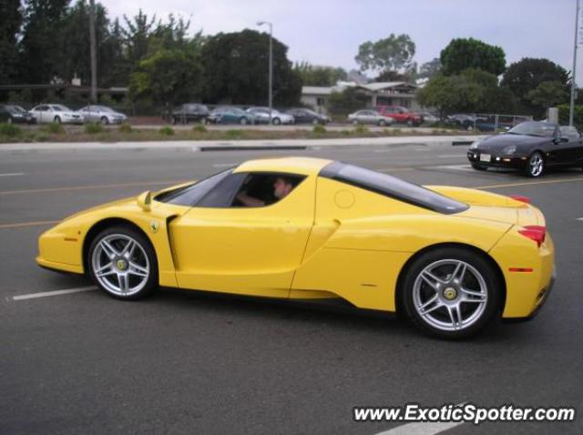 Ferrari Enzo spotted in Calabases, California