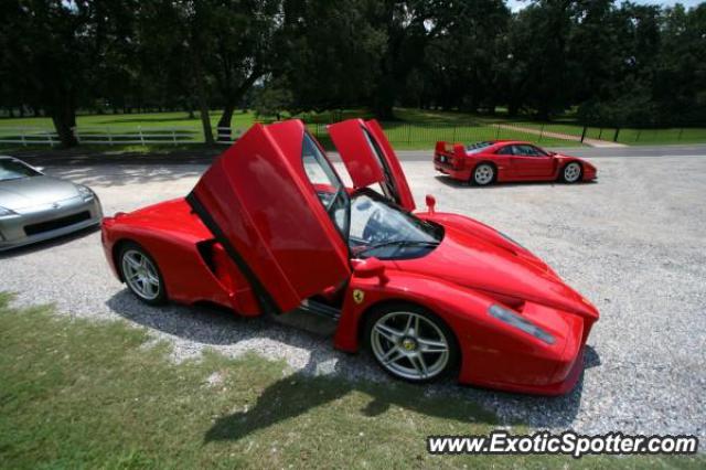 Ferrari Enzo spotted in Oak Alley, Louisiana