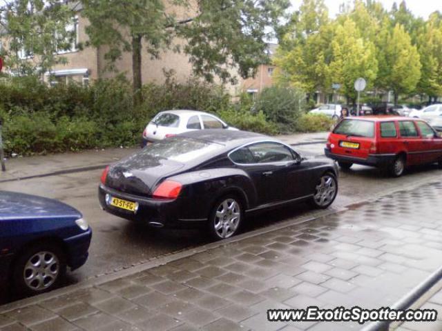 Bentley Continental spotted in Breda, Netherlands