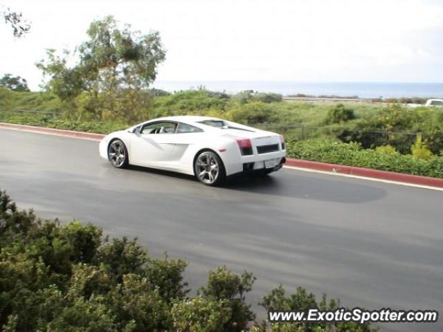 Lamborghini Gallardo spotted in Newport, California