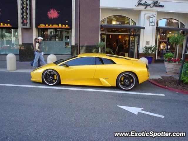 Lamborghini Murcielago spotted in San Jose, California