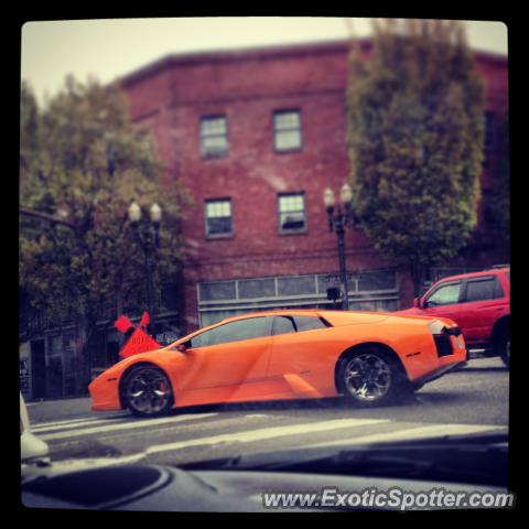 Lamborghini Murcielago spotted in Portland, Oregon