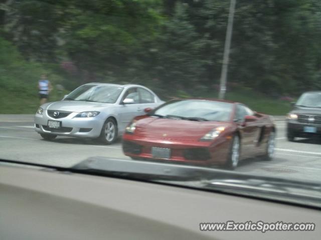 Lamborghini Gallardo spotted in Toronto, Canada