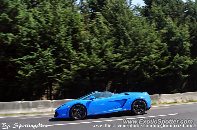 Lamborghini Gallardo spotted in Mexico City, Mexico