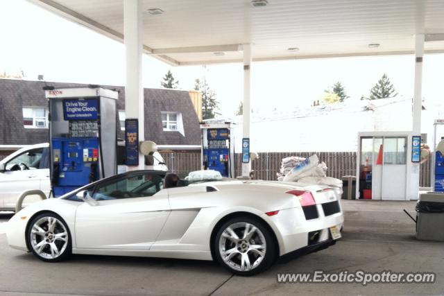 Lamborghini Gallardo spotted in Paramus, New Jersey