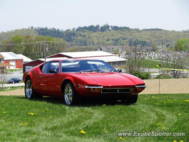 DeTomaso Pantera2 spotted in Hershey, Pennsylvania