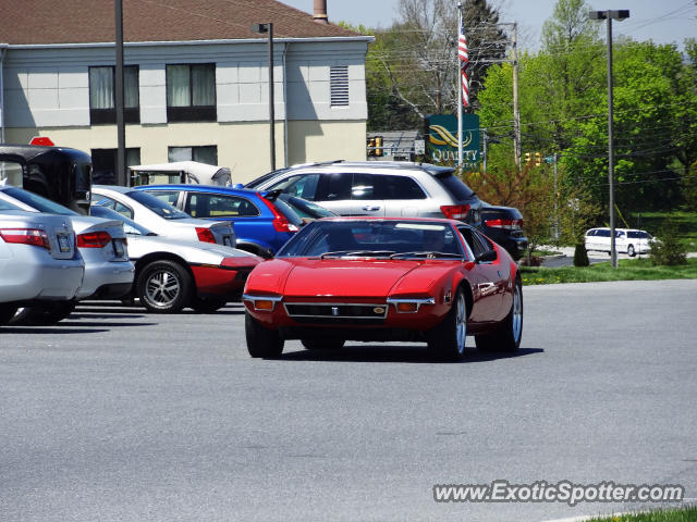 DeTomaso Pantera2 spotted in Hershey, Pennsylvania