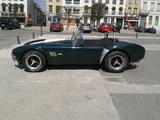 Shelby Cobra