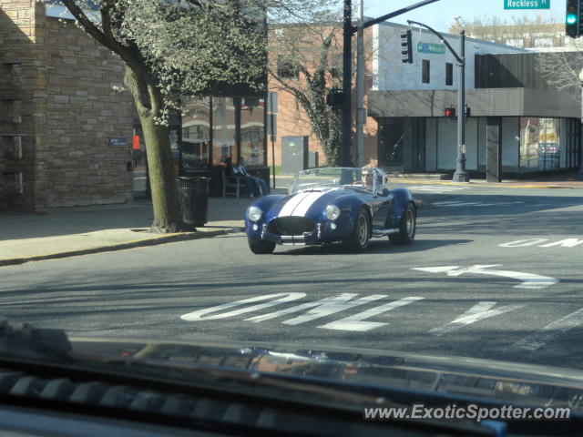 Shelby Cobra spotted in Red Bank, New Jersey
