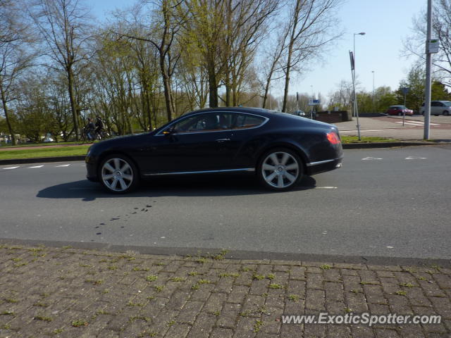 Bentley Continental spotted in Amsterdam, Netherlands