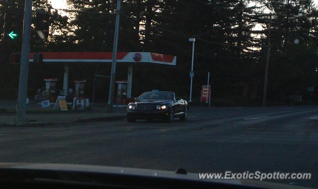 Bentley Continental spotted in Santa Rosa, United States