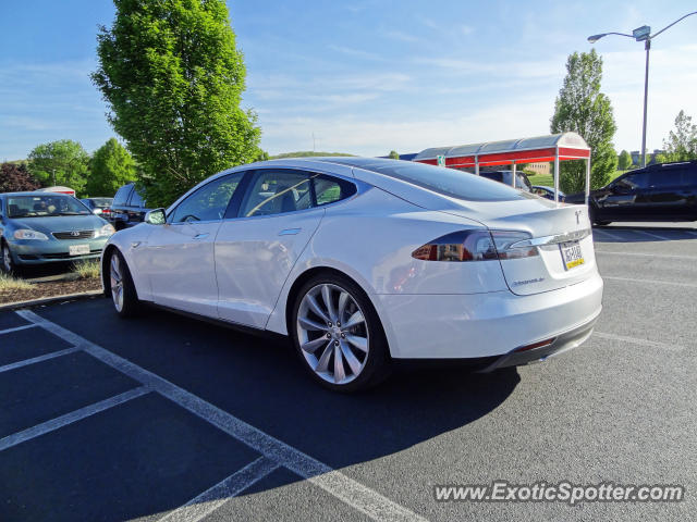 Tesla Model S spotted in Hershey, Pennsylvania