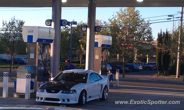 Saleen S281 spotted in Santa Rosa, United States