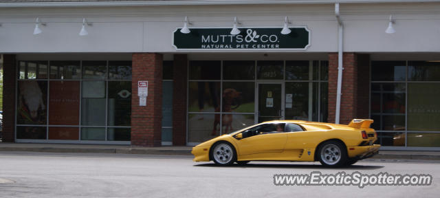 Lamborghini Diablo spotted in New Albany, Ohio