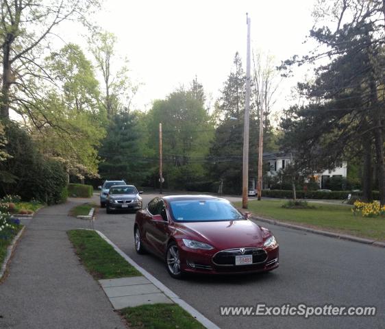 Tesla Model S spotted in Newton, Massachusetts
