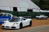 Mclaren F1