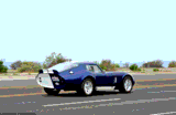 Shelby Daytona
