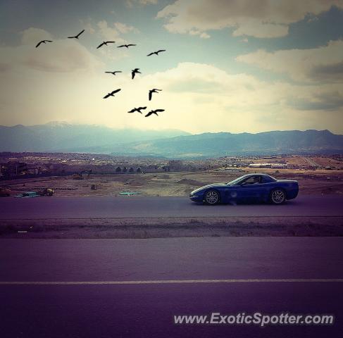 Chevrolet Corvette Z06 spotted in Colorado springs, Colorado