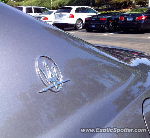 Lamborghini Gallardo spotted in Carmel Valley, California