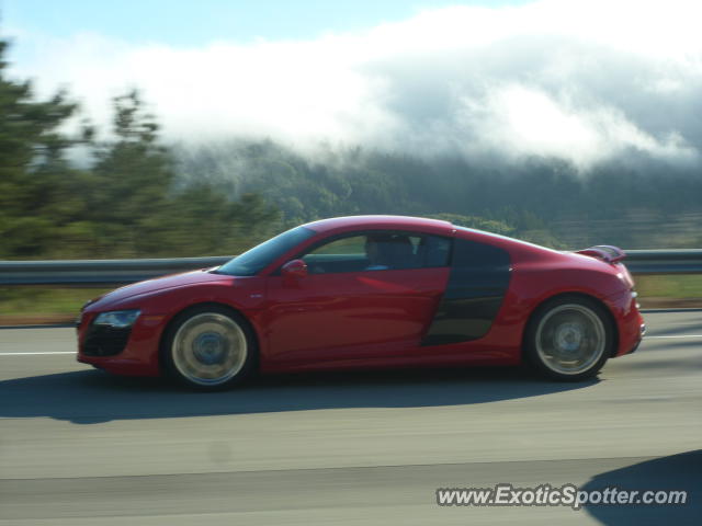 Audi R8 spotted in 280 Freeway, California