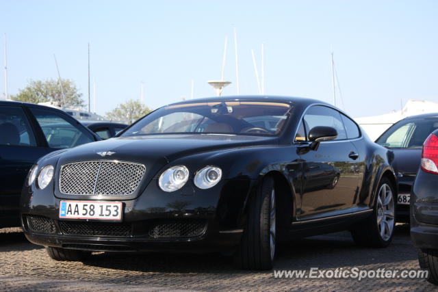Bentley Continental spotted in Rungsted, Denmark
