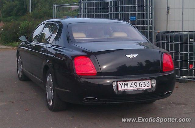 Bentley Continental spotted in Rungsted, Denmark