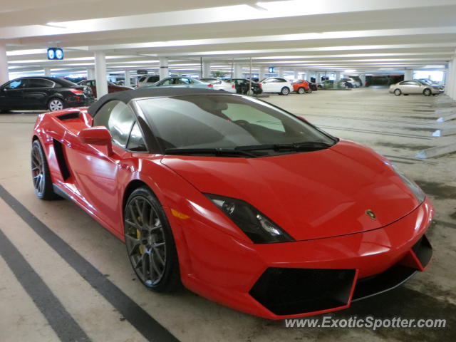 Lamborghini Gallardo spotted in Miami, Florida
