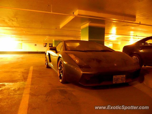 Lamborghini Gallardo spotted in Toronto, Canada