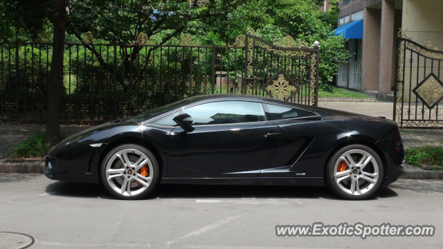 Lamborghini Gallardo spotted in Shanghai, China