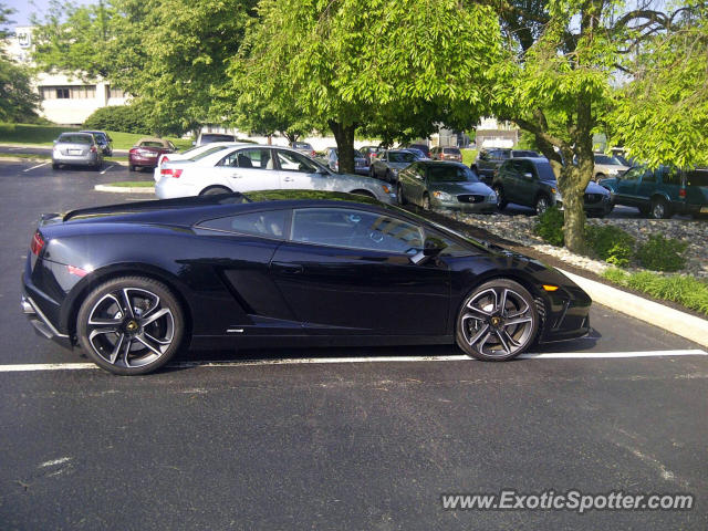 Lamborghini Gallardo spotted in Camp Hill, Pennsylvania