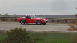 Shelby Cobra