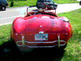 Shelby Cobra