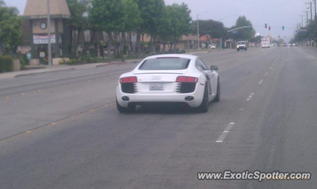 Audi R8 spotted in Westminster, California