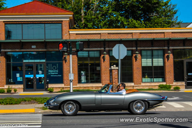 Jaguar E-Type spotted in Ridgefield, Connecticut