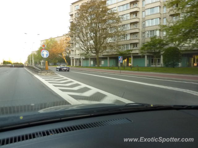 Shelby Cobra spotted in Antwerp, Belgium