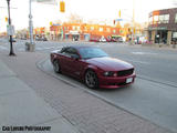 Saleen S281