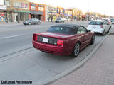 Saleen S281